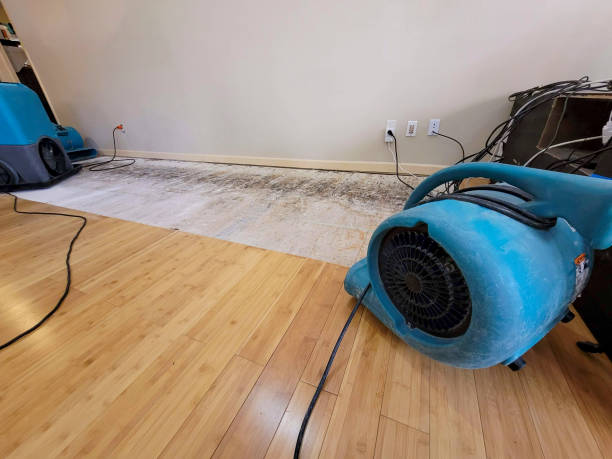 Reliable Basement Flood Cleanup contractor in Oceanport, NJ by Hirex Water Damage