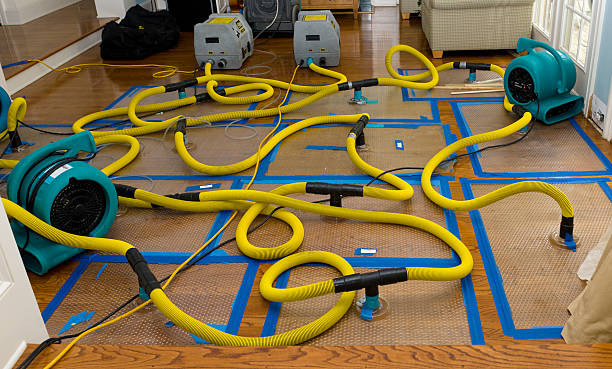 Professional Basement Flood Cleanup technician working in Oceanport, NJ